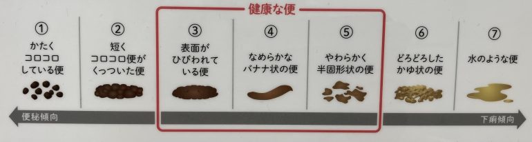 今日のうんちはどんな顔？ スタッフブログ桜こどもクリニック市川