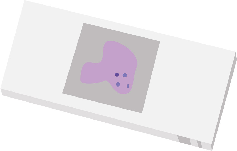 ビジネス資料に使えるイラスト素材サイト10選 無料 商用利用可 パワポ向けConeのコンテンツ制作所