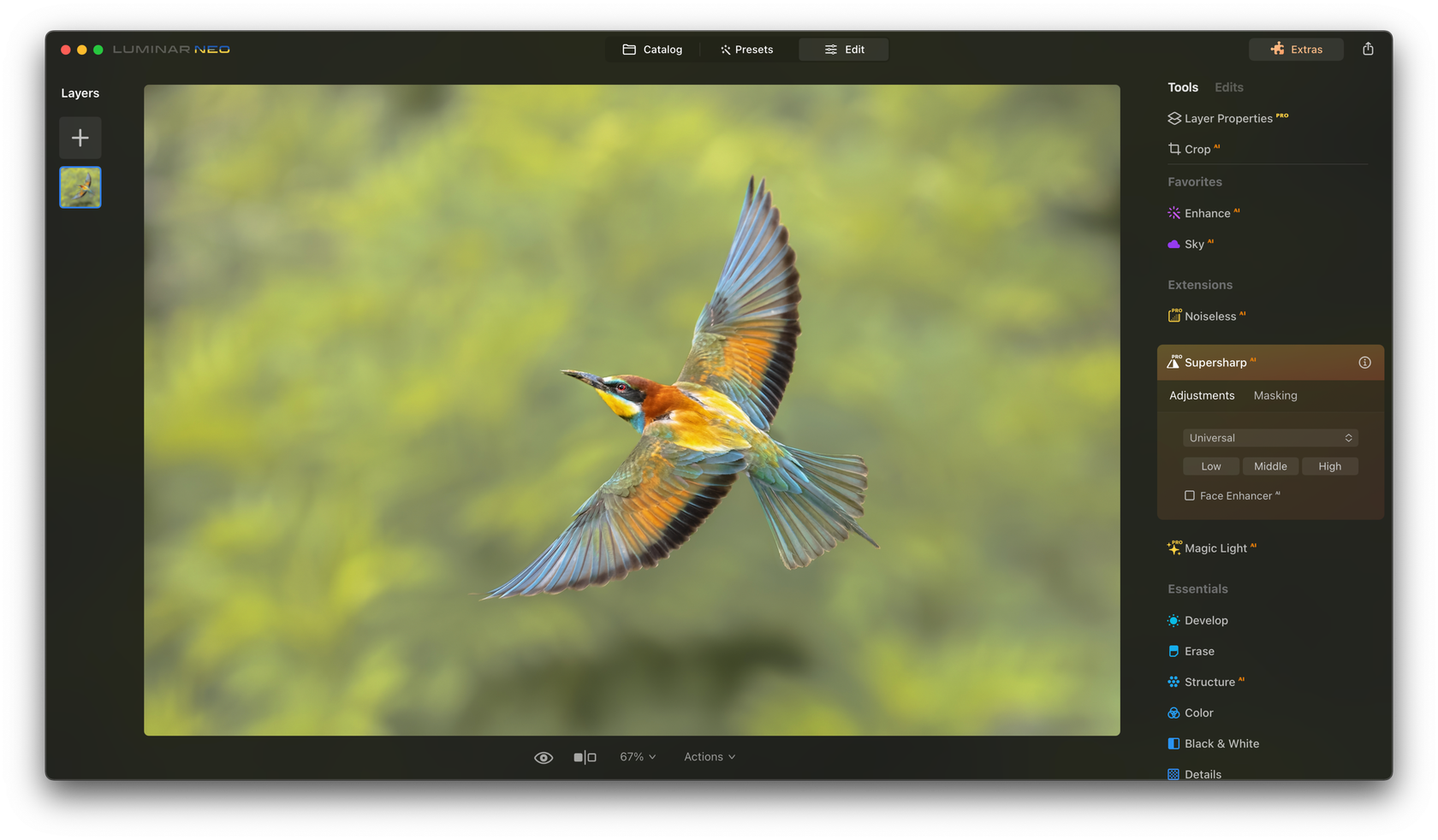 実際に試した！iPhoneのぼやけた画像を鮮明にする全ステップ くっきりした画像で確認