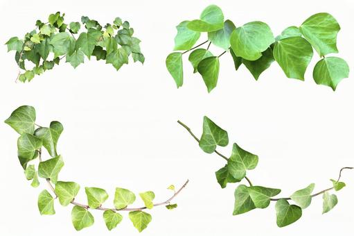 木の葉フレーム葉っぱの飾り枠イラスト素材。透過PNG：イラスト無料