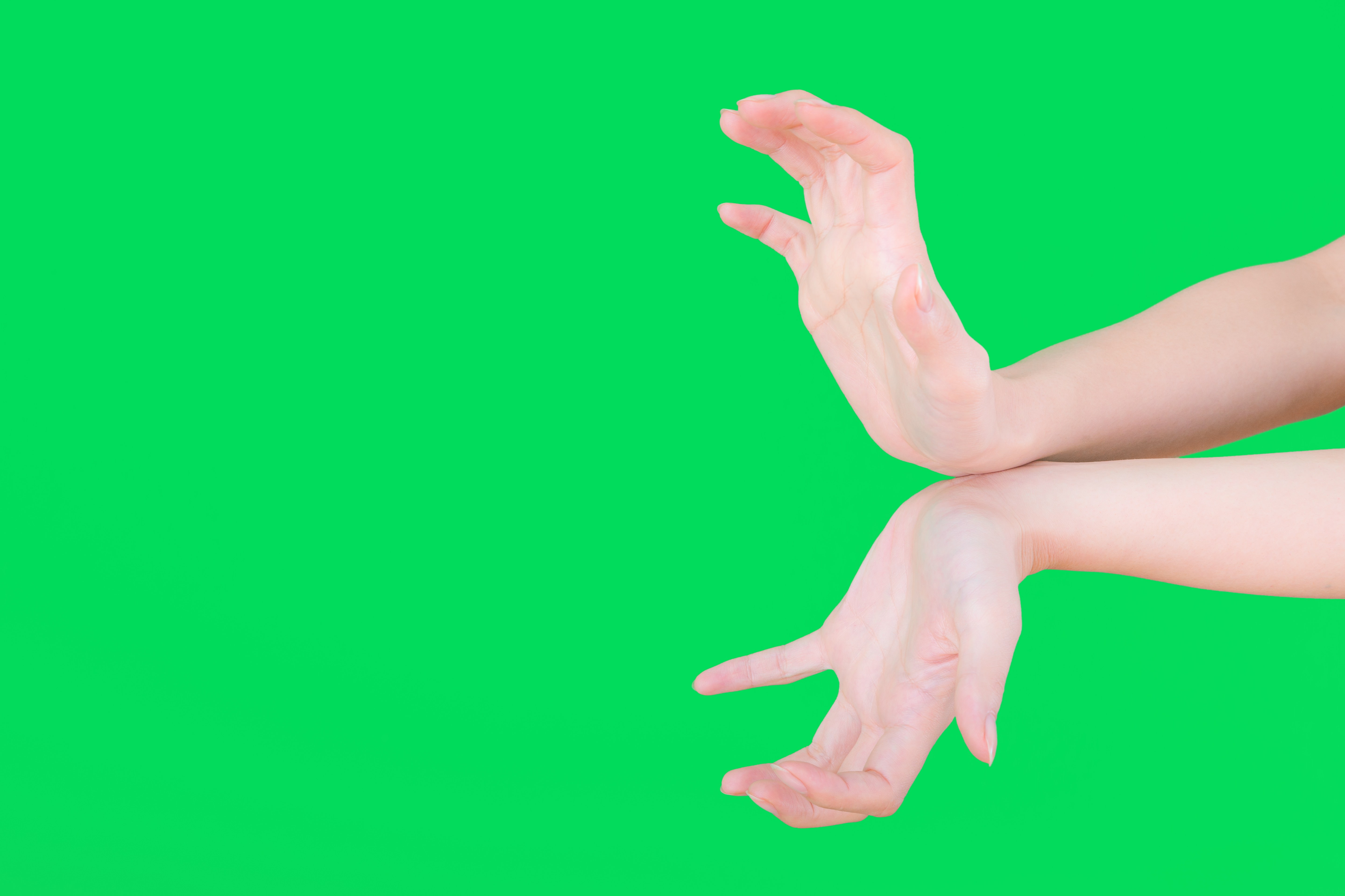 Photo Stock 子猫のクロマキー素材 グリーンバックAdobe Stock