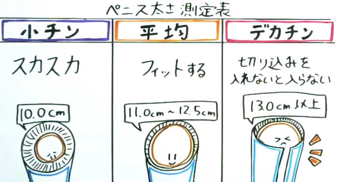 【ペニス図鑑】正しい測り方と硬さ・種類・長さ！