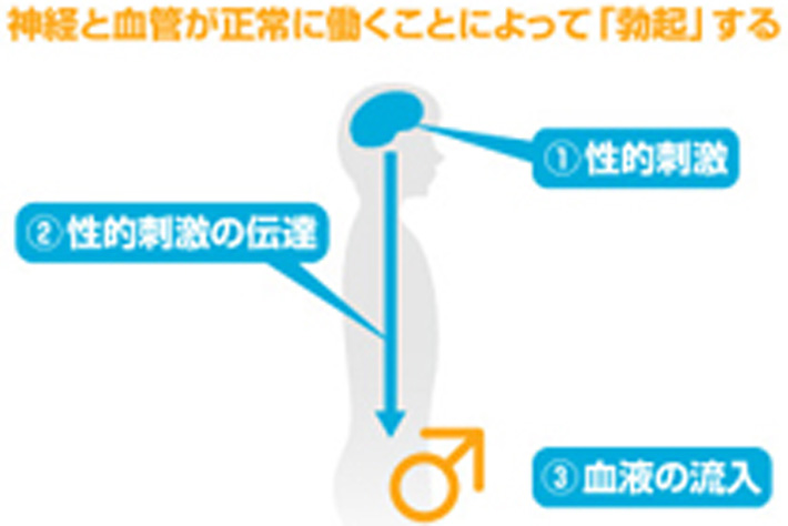 信太山新地」の人気タグ記事一覧｜note ――つくる、つながる、とどける。