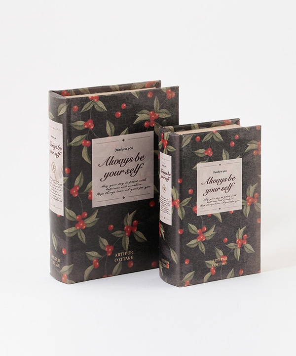 dショッピング 小物入れ 本型 アンティーク ブックボックス Lブック型 ボックス ブック型収納 小物収納 小物ケース 収納ボックス 収納宝箱 古書 洋書 レトロ 小物収納ケース 小物収納ボックス おしゃれカテゴリ：収納ケースの販売できる商品リビングート