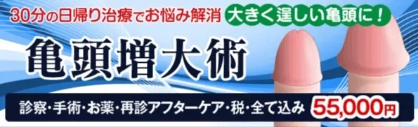 2023年ペニス増大サプリメント比較・ランキング表【15選】 | セクテクサイト