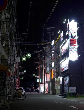 和歌山で本番ができると噂のデリヘルを紹介！口コミ評判、料金からおすすめ風俗店を解説 - 風俗本番指南書