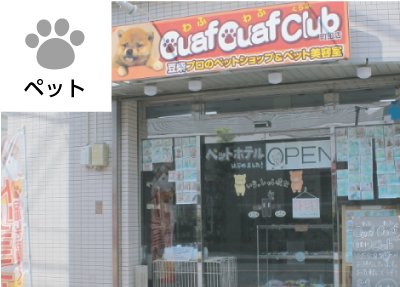 当店出身のてんちゃんがトリミングでご来店くださいました。体重は3キロ台と、とても小柄な女の子🐕🌷✨可愛らしいです☺️ #豆柴 #柴犬 #犬