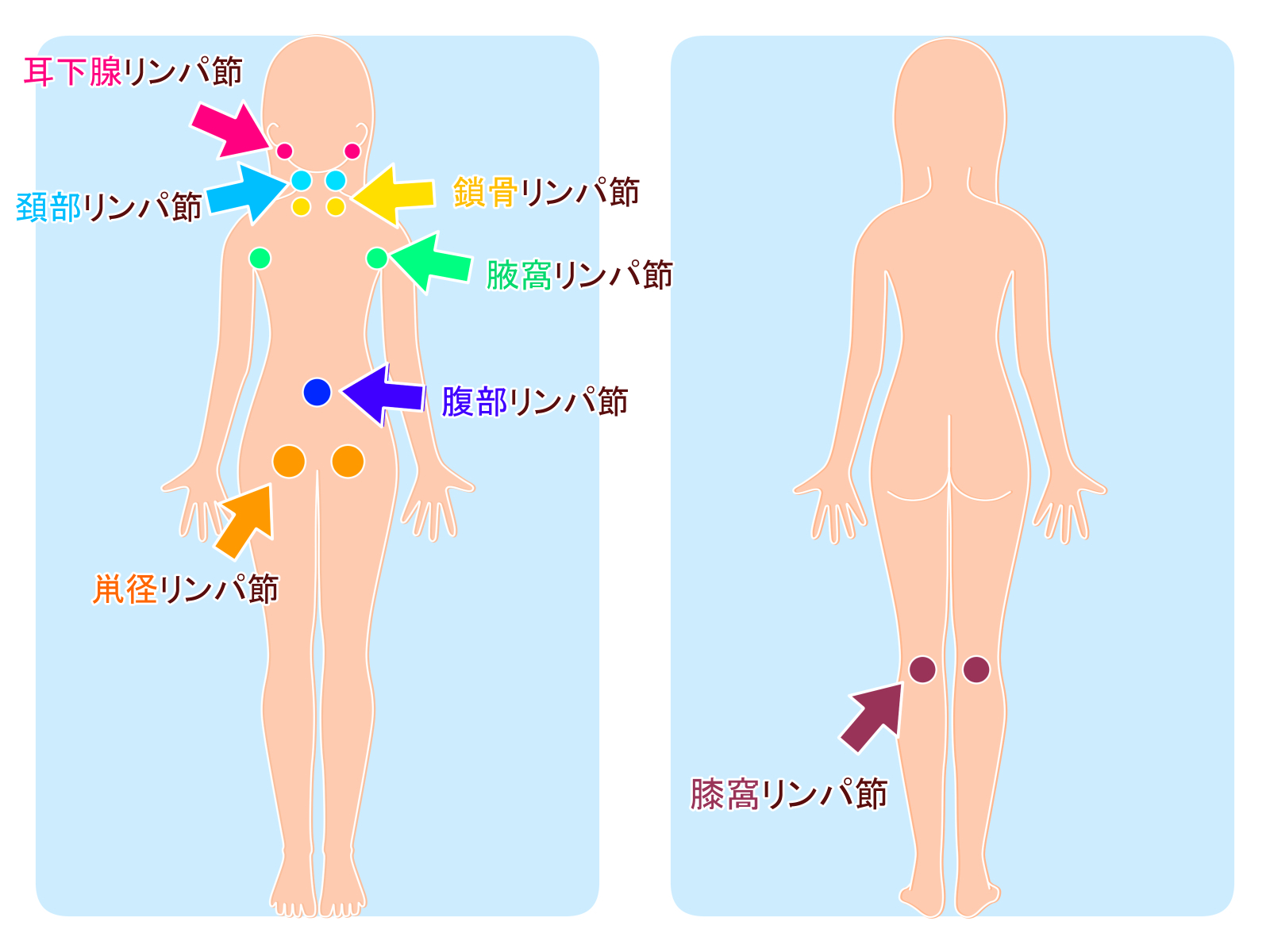 鼠径部症候群 | 栃木市TSUNAGI鍼灸接骨院