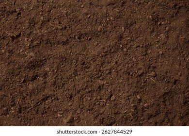 白い背景に分離断面地面スライスのイラスト。屋外クロス地面スライス作品性質。生態地下地面スライス ベクトル。のイラスト素材・ベクター Image62782006