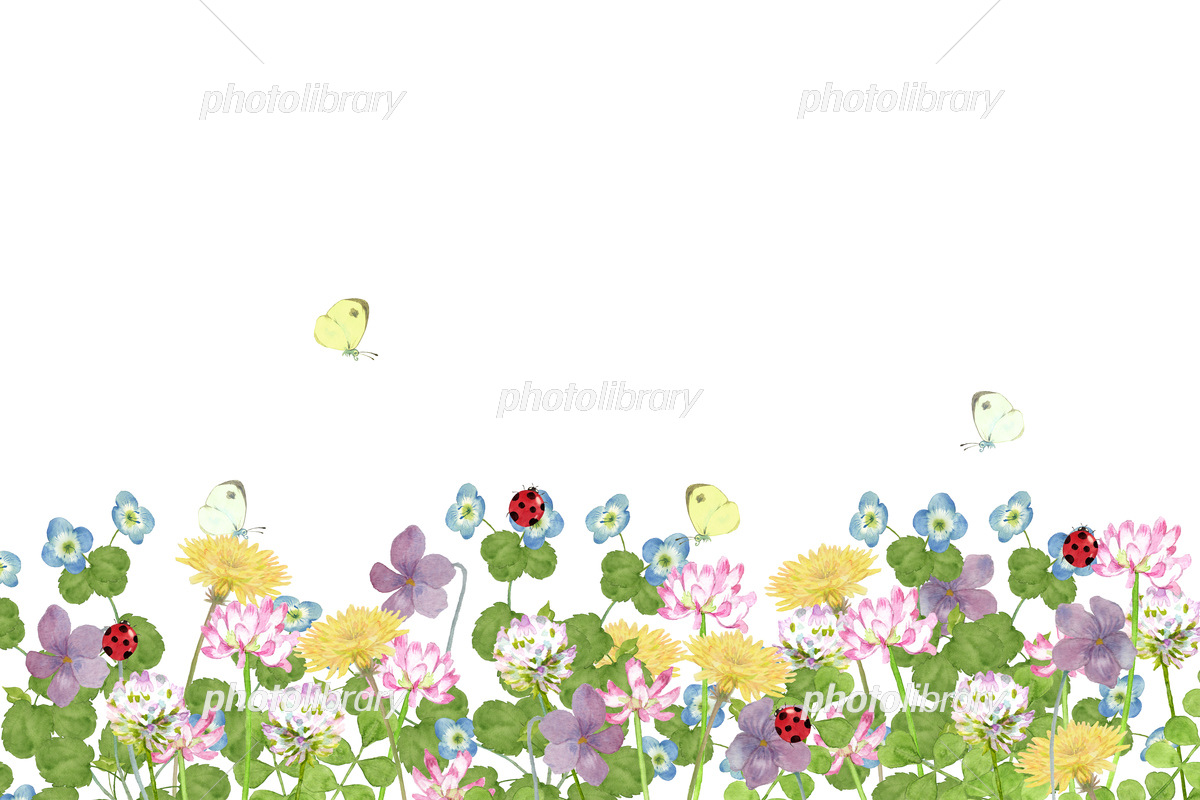 春の草花 デザイン イラスト素材3653826- フォトライブラリ