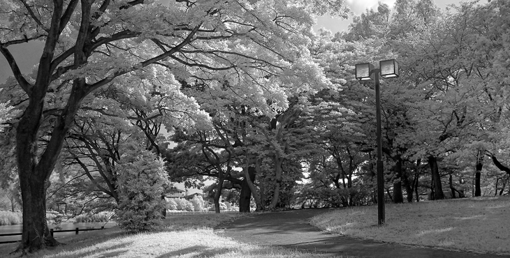 赤外線カメラとは？ドローンへの導入事例やメリットを解説！株式会社旭テクノロジー ATCLドローン事業