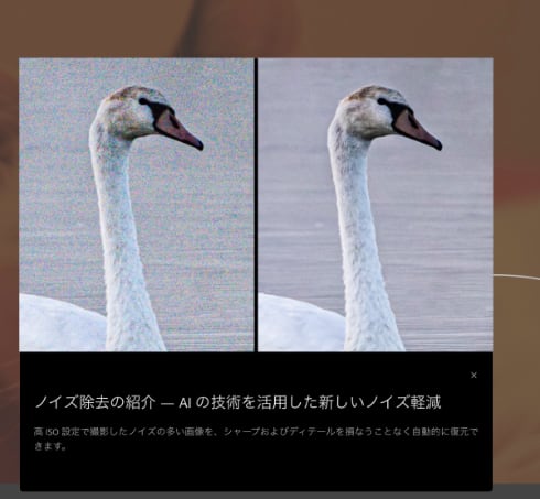 Lightroom Classic AIノイズ除去 の使い方 処理時間はPC性能次第テイラボ