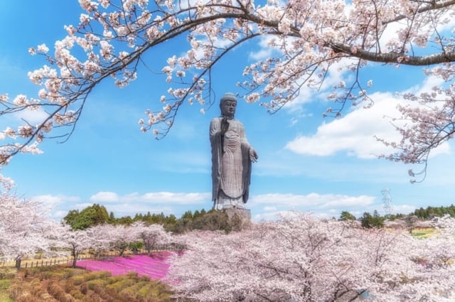 上総牛久駅（千葉県市原市）周辺の美容院・美容室・床屋一覧｜マピオン電話帳