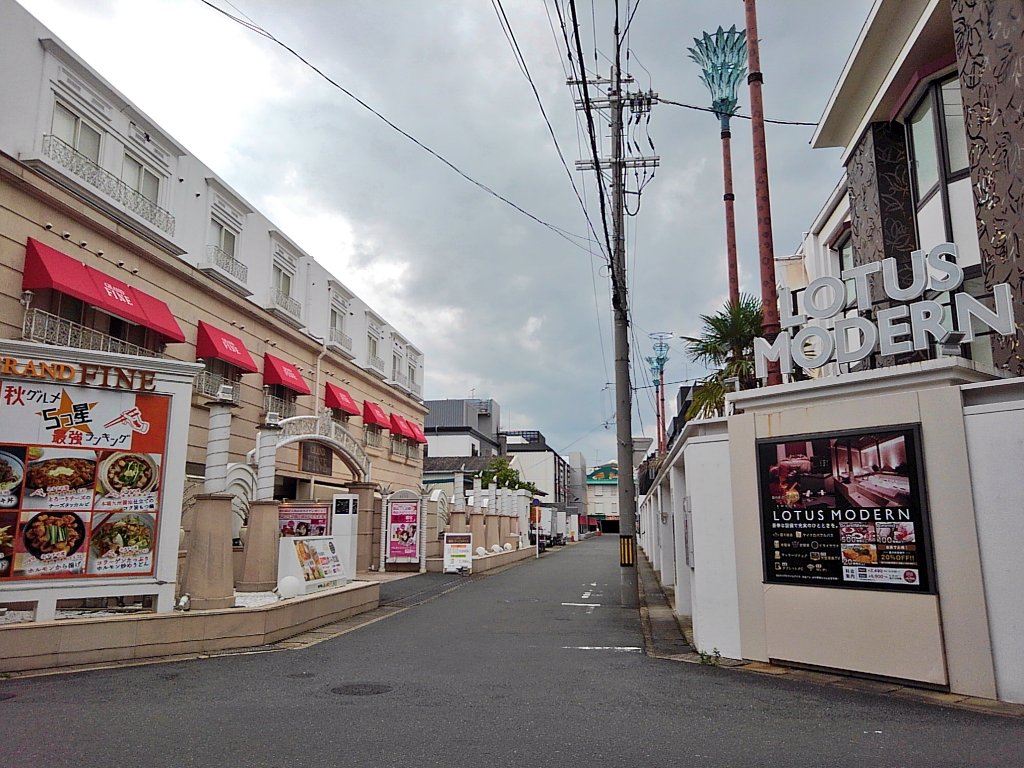 HOTEL&SPA LOTUS（京都府京都市伏見区）の部屋 |