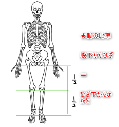 アオリ構図とライティングで視線誘導！ 線画+ブラシ塗りイラストメイキングイラスト・マンガ描き方ナビ