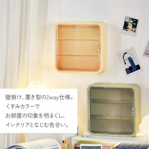 幅45cm 4.5mm間隔で横移動自由フック式 壁掛け・置き式 アクスタ アクリル