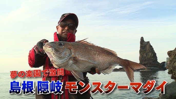 夢洲の未来の自然環境のために｜大阪自然環境保全協会