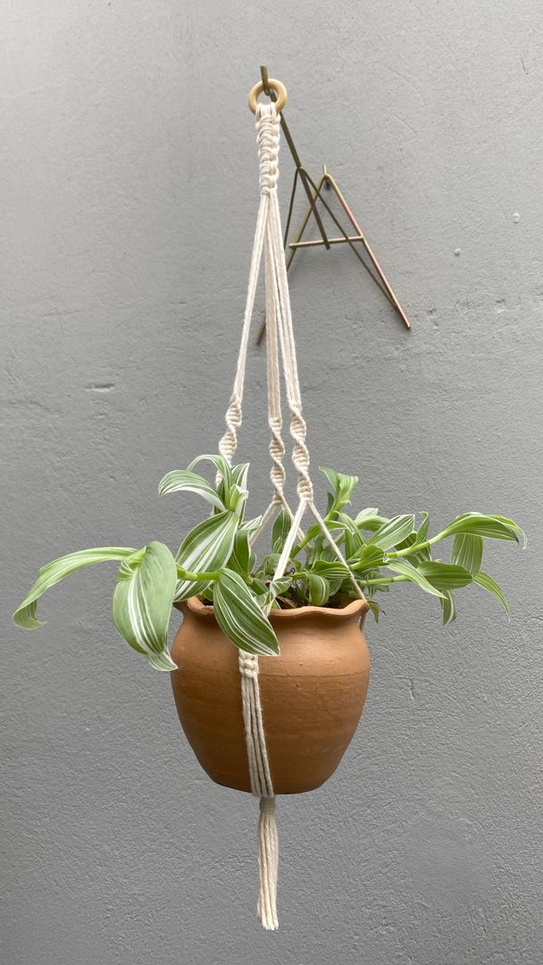 ロープでつくるプラントハンガー。初心者でもかんたんDIY - コラムWOMO
