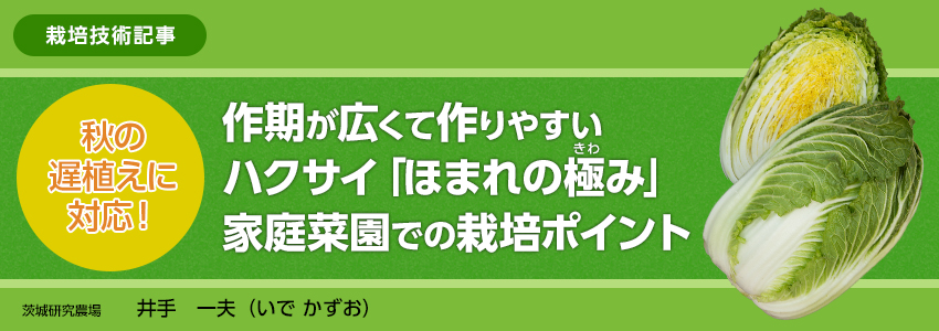 池袋デリヘルランジュ 巨乳・美乳・爆乳・おっぱいのことならデリヘルワールド 店舗紹介(東京都)31744