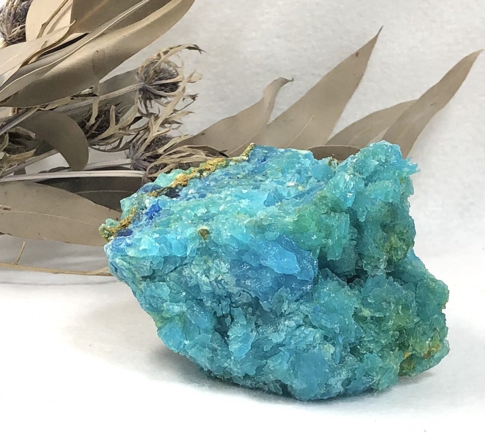 ペトラ@petora_hitoX