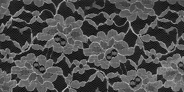 レース背景 白- No: 2683346写真素材なら「写真AC」無料 フリー ダウンロードOK