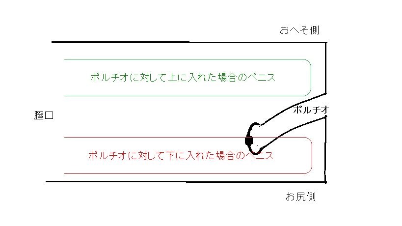 後背位はこうやって入れる！挿入のコツを知って今夜は後ろから責めよう。 | VOLSTANISH