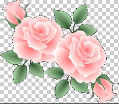 Illustrator 配置した写真の透明部分が濃くプリントされる - バンフートレーニングスクール スタッフ ブログ