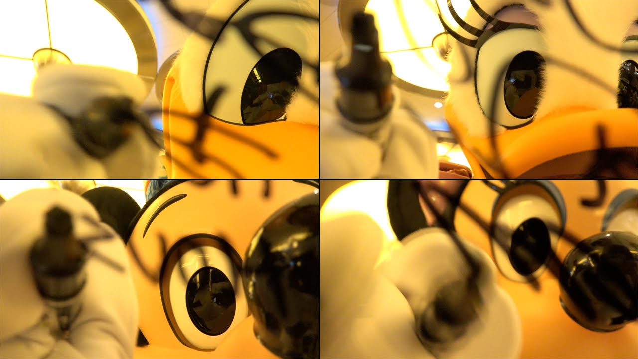 カメラにサインかくやつ 」たわんのイラスト