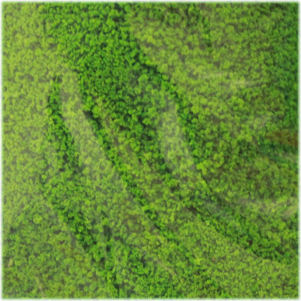 みね@減量中🐷 على X: 