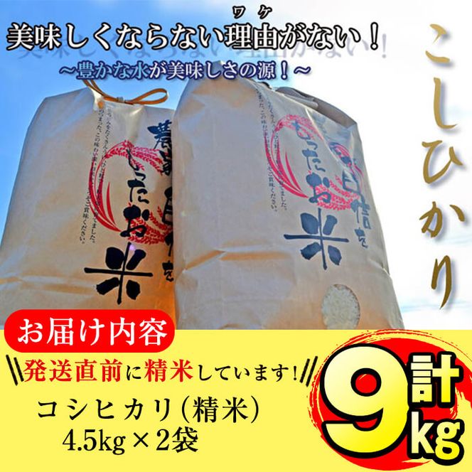 即日☆ 川崎景太プロデュース/花グラフィックカレンダー2025 壁掛け/KG-2025w -