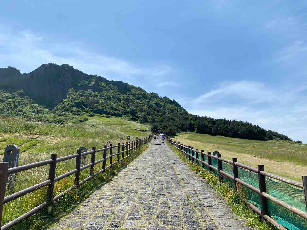 済州島 カナコ】これぞまさに韓デリ！極小半島仕様で瞬殺昇天の２回戦【韓デリ口コミ】 : 韓デリ鶯谷嬢報部〜もずく部長の韓国デリヘル体験レポート〜