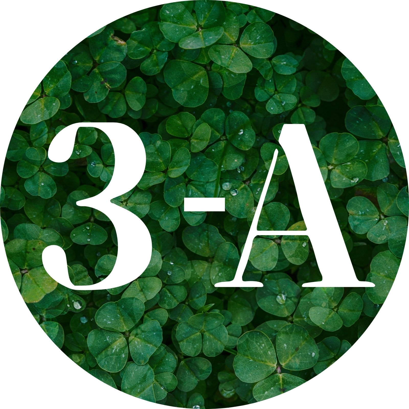 大人女子。大人かわいいアイコン。のLINE着せ替え画像、情報など