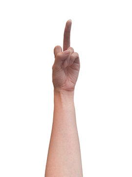 土星丘の見方特徴別に解説するビジュアル手相占いアリスの占い館