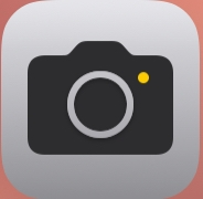 モバイルカメラアイコンのイラスト素材・ベクター Image 173401055