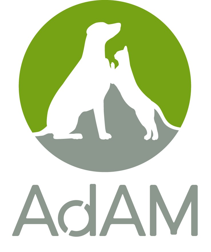 ノアアニマルクリニックは、アニコム・アイペット保険に対応してますノアアニマルクリニックのブログ