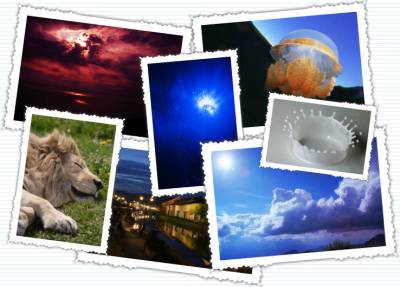 2024年版 無料！商用可能なフリー動画・画像素材サイト9選生成AI素材も