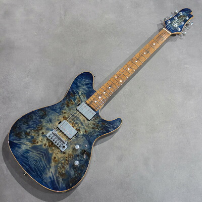 最初からかっこいいギターを GrassRootsのギターについて エレキギター博士