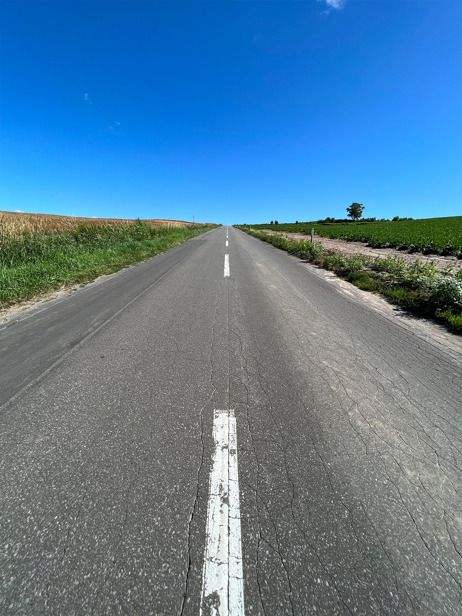 虹 綺麗 道 7色 背景イラスト無料 フリー90910素材Good