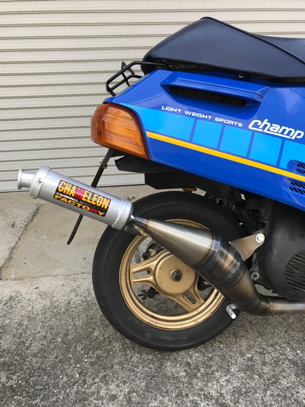 カメレオンのロゴ