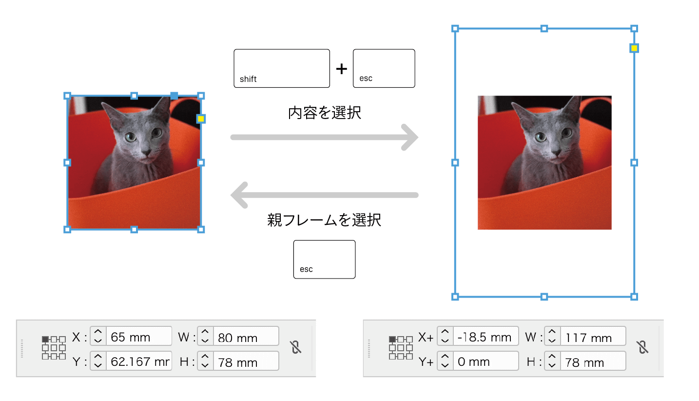 InDesignキホンのキ わかると便利な機能「フレームツール」cottala-becco