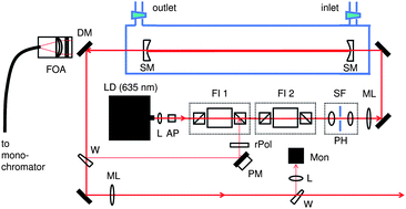 Raman scattering spectra of undoped