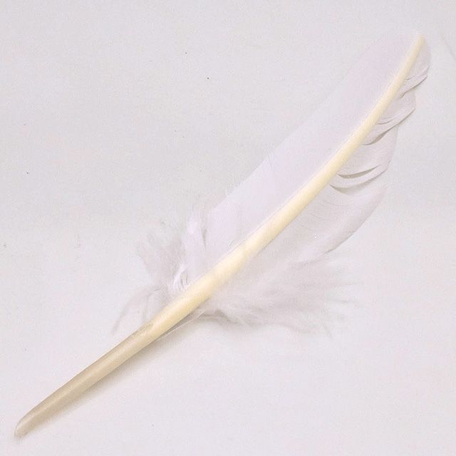 羽ペン 作り方100均TikTok