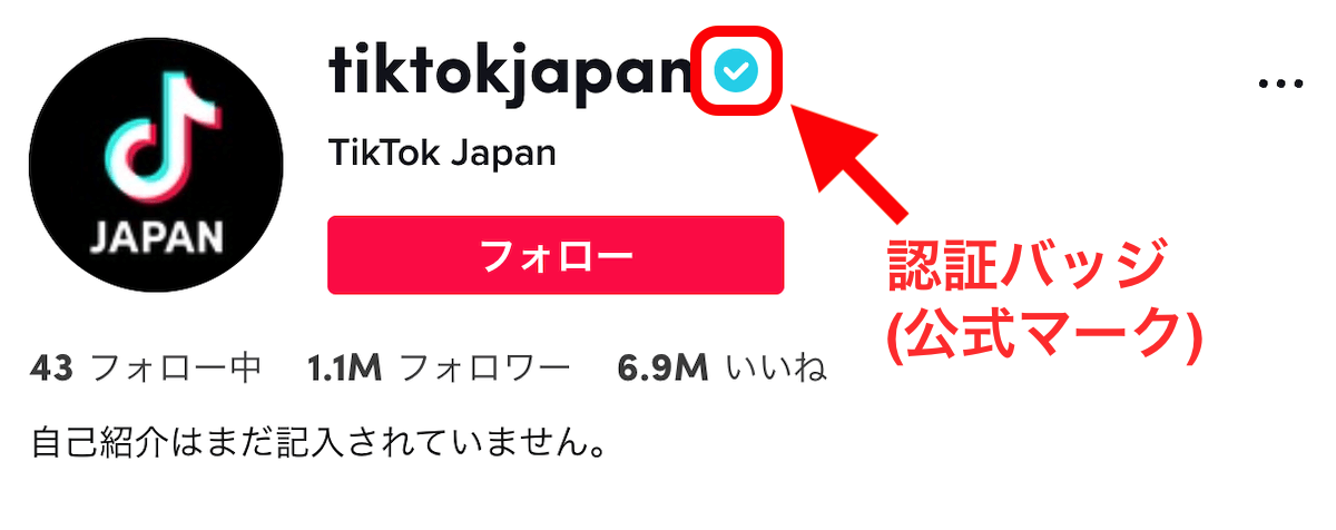 TikTok公式マーク 認証バッジ の取得方法とは？取得するコツ,注意点もコラム株式会社Epace イーペース
