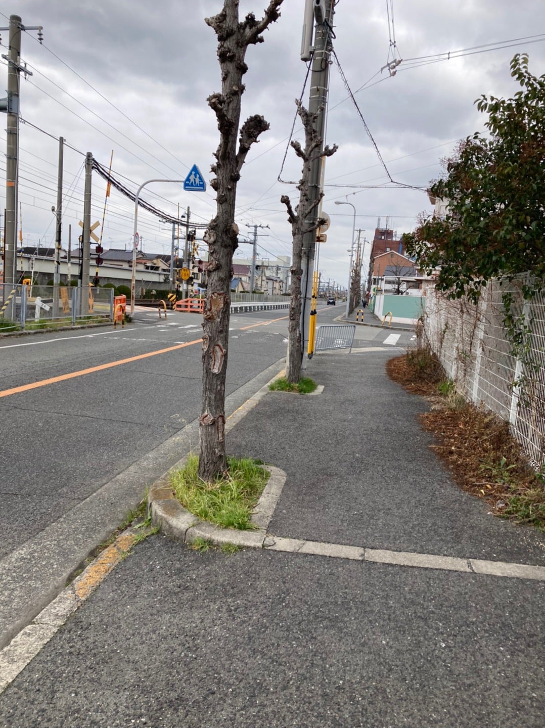 信太山新地体験談】行き方や料金・遊び方とおすすめ店！嬢がよすぎてあえなく3秒で昇天。