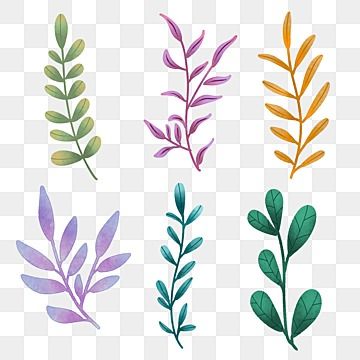 木 イラスト 葉 緑 植物イラスト画像とPSDフリー素材透過の無料ダウンロード - Pngtree