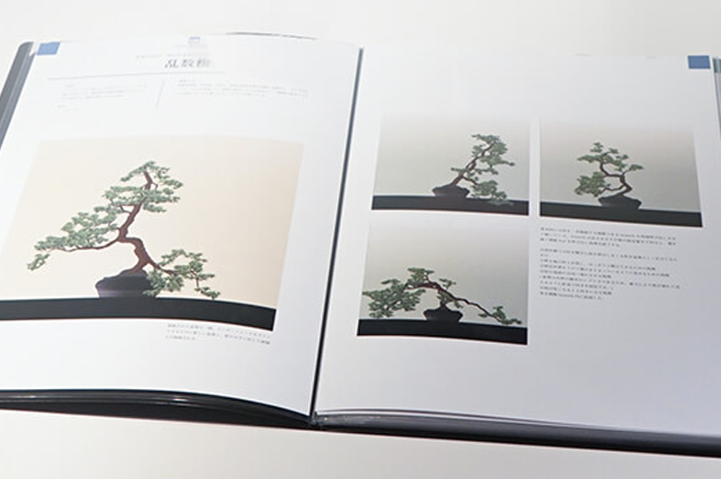 作品集冊子A4テンプレートとレイアウトデザイン作成見本