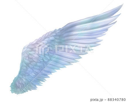 フリー素材HD黒い翼が生える＆消失する CGアニメーション素材 1080p 60fps エフェクト After Effects AEアフターエフェクト - YouTube