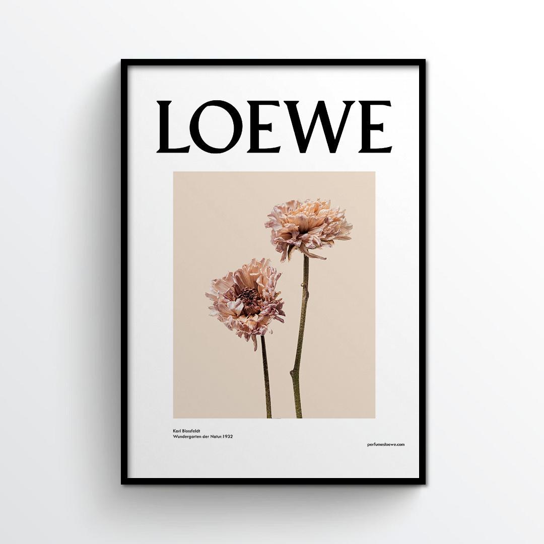 ロエベ 高画質の壁紙Pxfuel