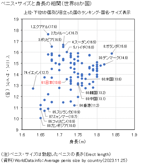 会陰電動ペニスリングレビュー】微ドライオーガズムの世界×オナホ快感【BENEDICTとURSULA比較】