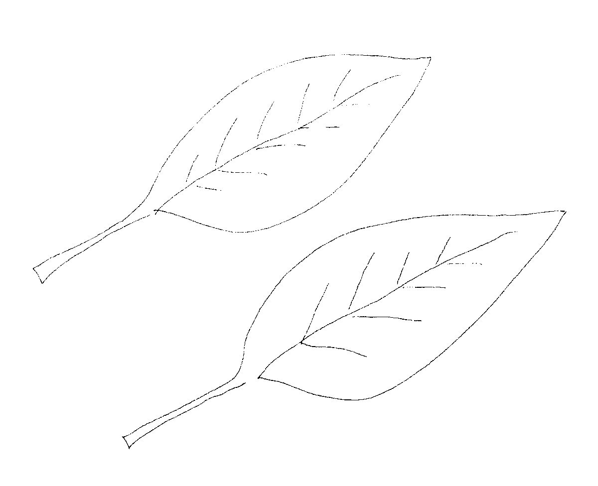 Procreateで線画の色を変える方法kuma563 クマゴローさん